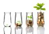 Novo Wealth Confirmed Growing Awareness of Responsible Investing
